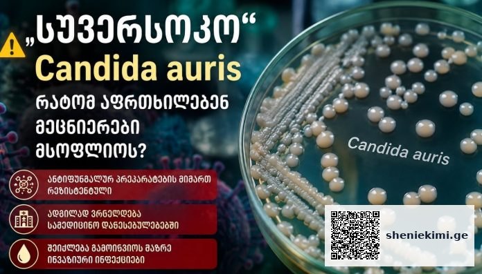 „სუპერსოკო“ Candida auris – რატომ აფრთხილებენ მეცნიერები მსოფლიოს?