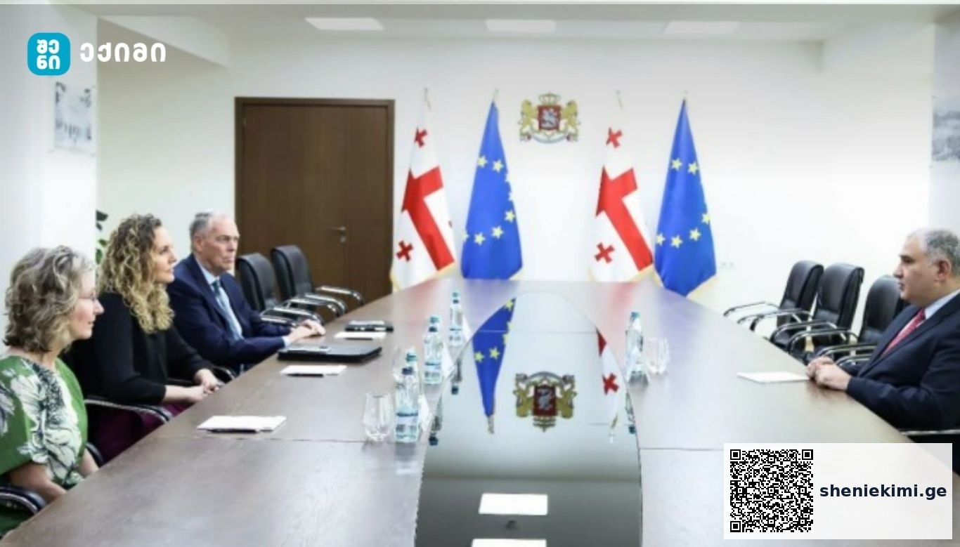 მიხეილ სარჯველაძე „სტრილინგის ფონდის“ ახლო აღმოსავლეთისა და ევროპის დირექტორს შეხვდა – უწყების ხელმძღვანელმა ბრიტნი სტირლინგს ჯანდაცვის მიმართულებით, ქვეყანაში მიმდინარე რეფორმები გააცნო | sheniekimi.ge | შენი ექიმი
