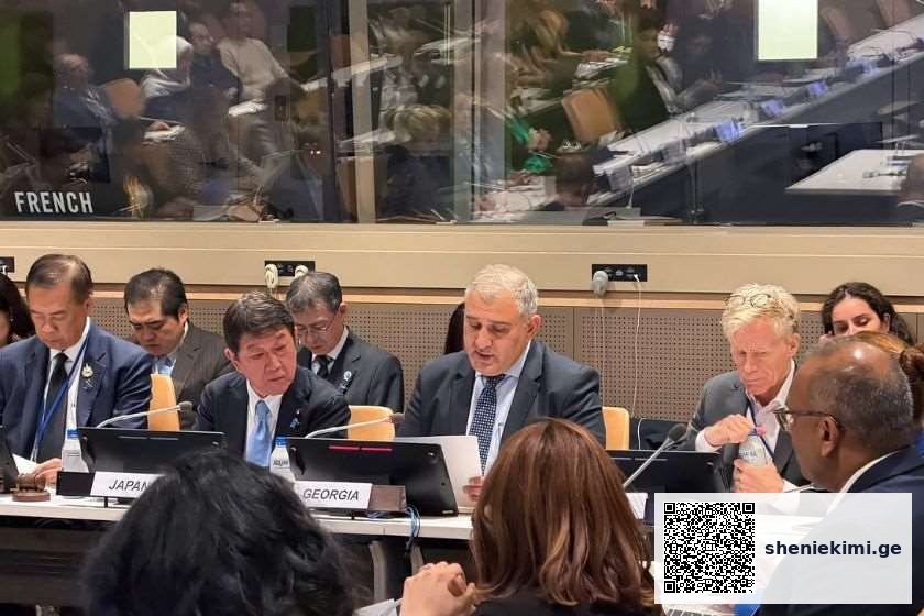 საქართველო საყოველთაო ჯანმრთელობის დაცვის საკითხებზე მეგობართა ჯგუფის თანათავმჯდომარე ქვეყანაა – მიხეილ სარჯველაძე გაეროს გენერალური ასამბლეის ფარგლებში გამართულ შეხვედრაზე სიტყვით გამოვიდა | sheniekimi.ge | შენი ექიმი