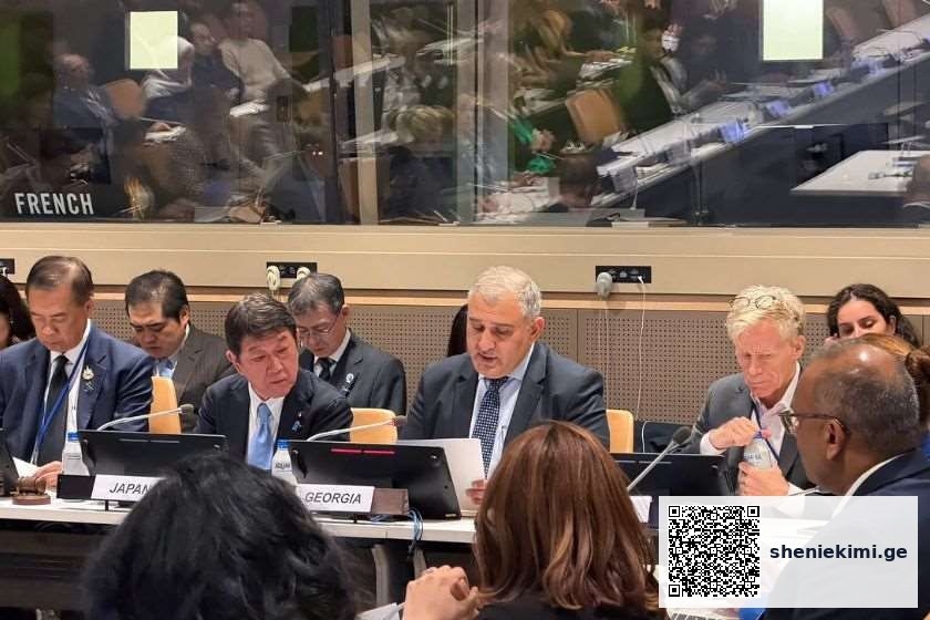 საქართველო საყოველთაო ჯანმრთელობის დაცვის საკითხებზე მეგობართა ჯგუფის თანათავმჯდომარე ქვეყანაა – მიხეილ სარჯველაძე გაეროს გენერალური ასამბლეის ფარგლებში გამართულ შეხვედრაზე სიტყვით გამოვიდა | sheniekimi.ge | შენი ექიმი