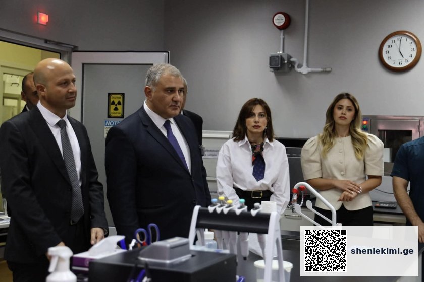 სომხეთში ოფიციალური ვიზიტის ფარგლებში მიხეილ სარჯველაძე სომხეთის ჯანდაცვის მინისტრ ანაჰიტ ავანესიანს შეხვდა | sheniekimi.ge | შენი ექიმი