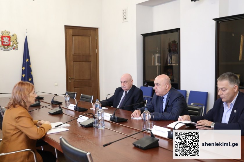 შეხვედრაზე ზოგადსაგანმანათლებლო დაწესებულებებში სამედიცინო პერსონალის საქმიანობის მიმართულებით არსებულ მდგომარეობაზე, საჭიროებებსა და გამოწვევებზე იმსჯელეს | sheniekimi.ge | შენი ექიმი